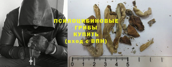 крисы Абдулино