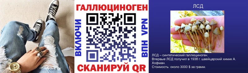 Галлюциногенные грибы Psilocybe  как найти   Жуковский 