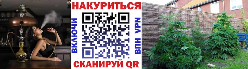 купить  сайты  Жуковский  Бошки Шишки SATIVA & INDICA 